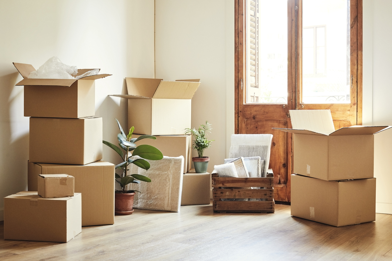 Moving boxes and potted plants at new apartment Adams Storage Esquimalt Victoria BC
