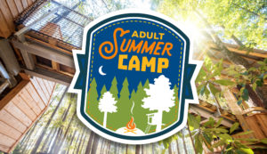 Summer Theme Party
