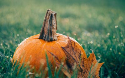 Upcoming Events in Victoria