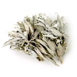 Camping Hack Sage